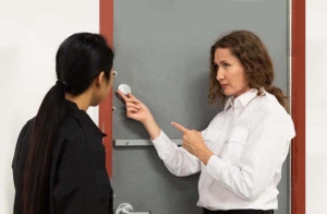 HUB Enterprises security consulting and design services officer